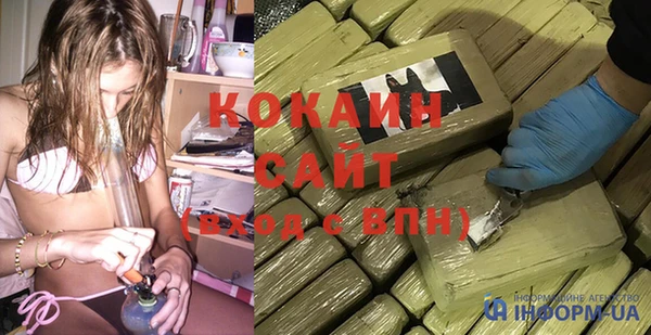 индика Арсеньев