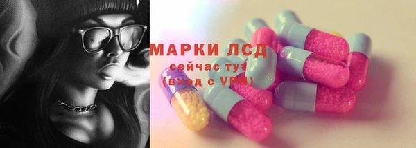 индика Арсеньев