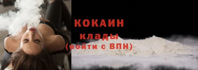 индика Арсеньев
