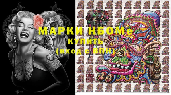 индика Арсеньев