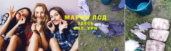 индика Арсеньев