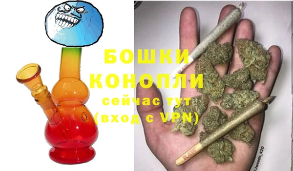 индика Арсеньев