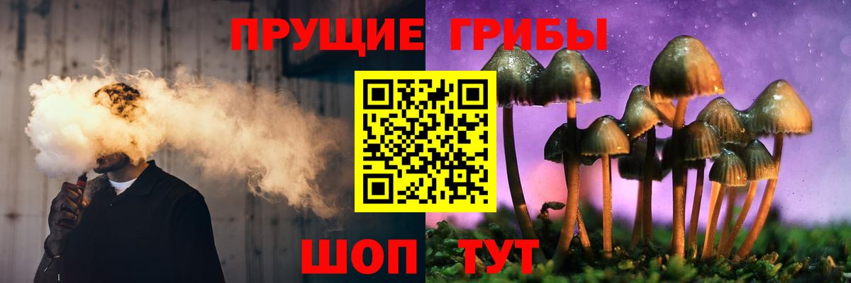 Галлюциногенные грибы мицелий  даркнет сайт  Белебей 